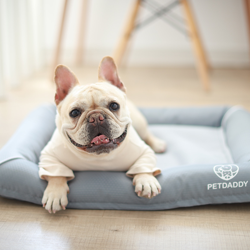 夏天涼可拆洗透氣降溫狗窩