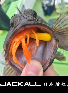 JACKALL波浪虾Waver Shrimp根钓软饵路亚饵黑头黄鱼黑雕诱鱼剂