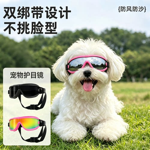 马尔济斯小狗狗专用墨镜护目镜约克夏太阳墨镜防风眼镜小型犬