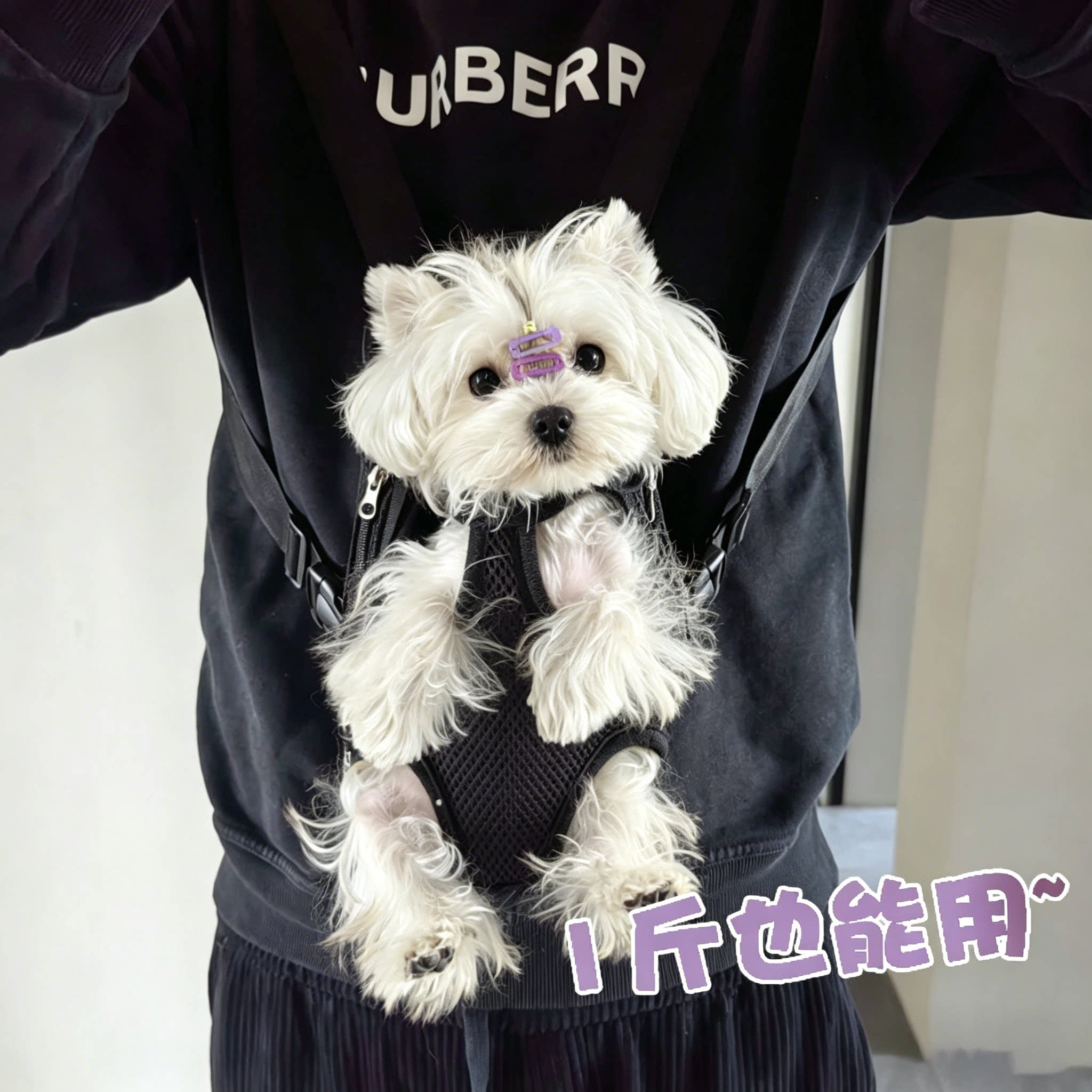 约克夏专用狗狗背包外出便携遛狗包出门出行胸前四脚小型幼犬小体图片