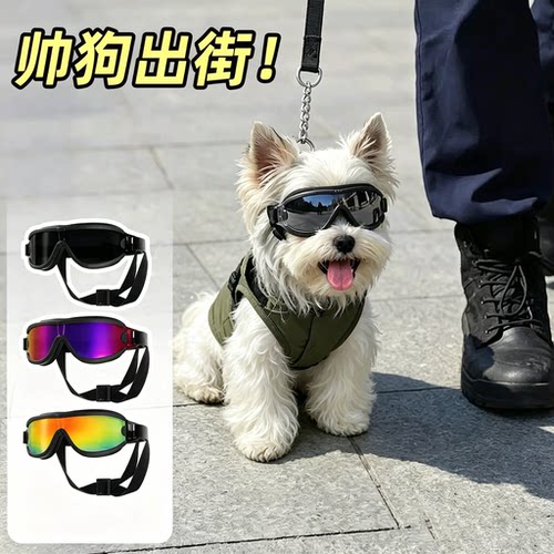 马尔济斯专用小狗狗墨镜护目镜约克夏太阳墨镜防风眼镜小型犬