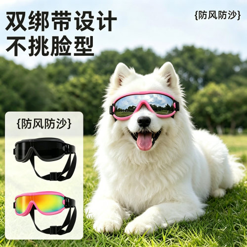 中大型犬小狗狗专用墨镜护目镜猫太阳墨镜保护防风眼镜宠物外出猫