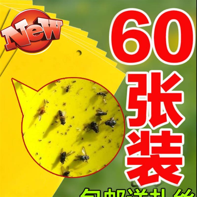 黄板双面粘虫板诱虫a板跳甲适用广泛飞虫类日光温室防水抗热大棚|ruв категории доставка цветов/цветок моделирования/растения садоводства, садовых принадлежностей, других садовых принадлежностей - от Buy2taobao.com для оказания профессиональной услуги покупки агента Taobao