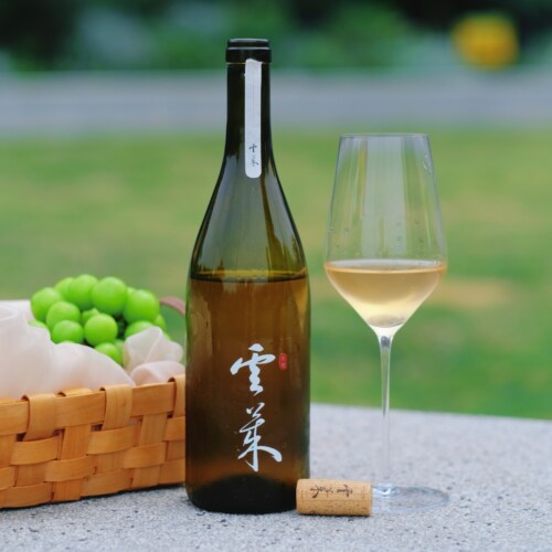 年产1400瓶！山东云莱黑中白干白