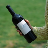 蓝莓黑巧椰子糖 寸山招牌 国货之光 寸山M4酿酒师混酿干红葡萄酒