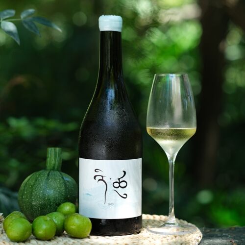 首发！香格里拉冰川干白葡萄酒