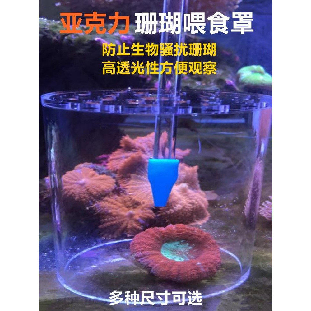 亚克力珊瑚喂食器高透明