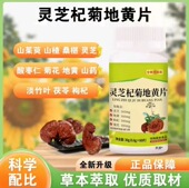 灵芝杞菊地黄簧片加强版 草本萃取精华药房直售2SR