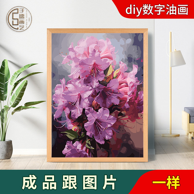 diy数字油画 杜鹃花 卡通花卉油彩画印象装饰画填充填色治愈丙烯