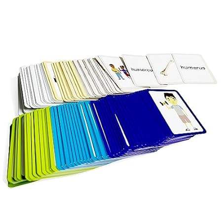 Pat's Flash Cards 384 Homophone Memory Matching and Conce
