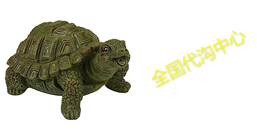 totalpond turtle spitter