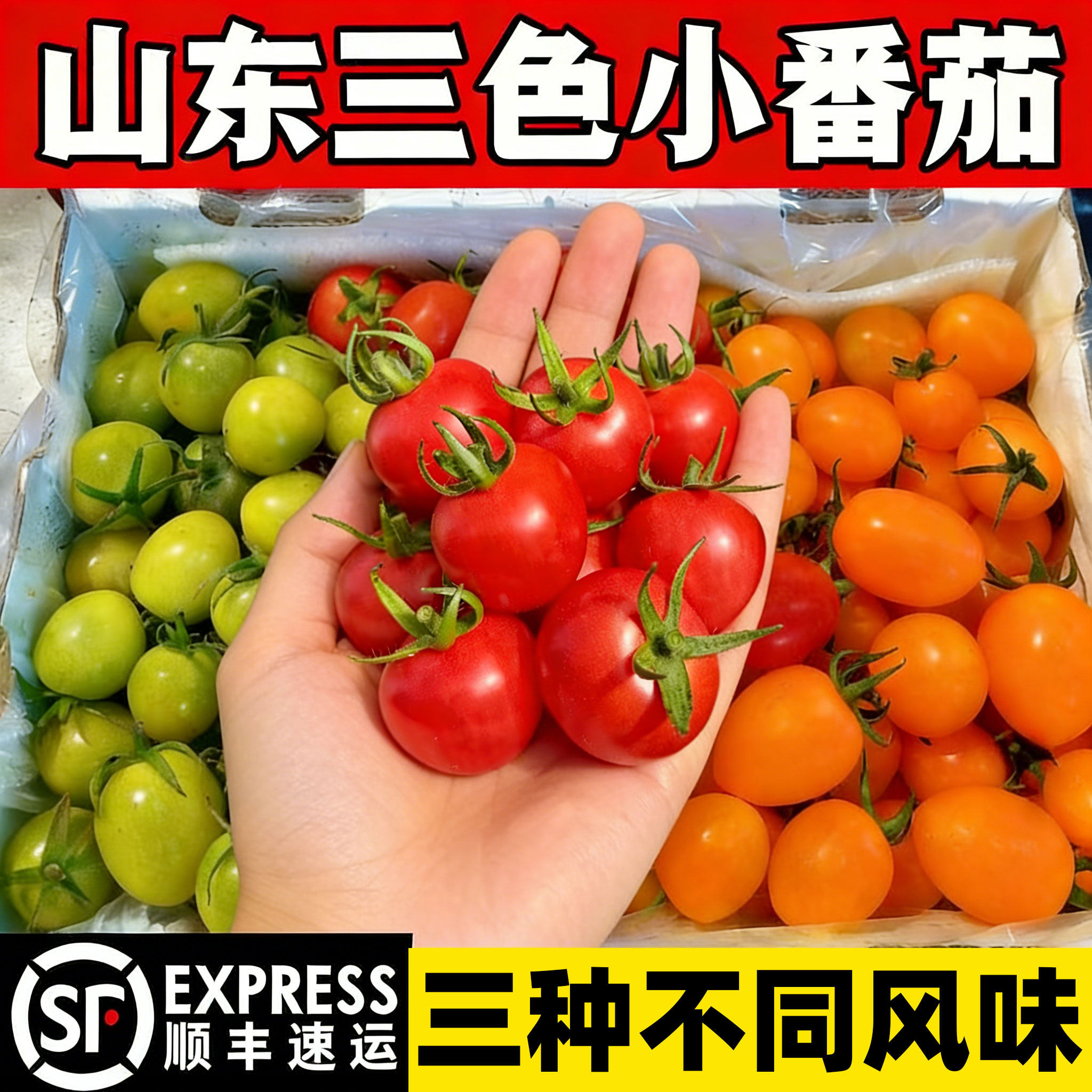 混装多色圣女果三色水果小番茄现摘青甜香芒清甜爆汁番茄五颜六色,水产肉类/新鲜蔬果/熟食,番茄,淘宝优惠券,粉丝福利购,淘宝优惠卷