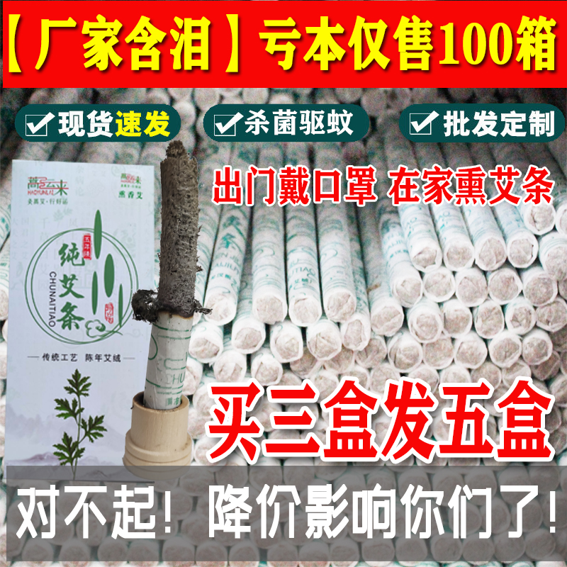 蒿运来儿童天然持久艾叶