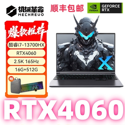 机械革命蛟龙z31111