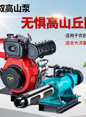 冠叙高山抽水泵高压杨程螺杆喷灌泵拖泵头森林消防柴油电动污抽粪