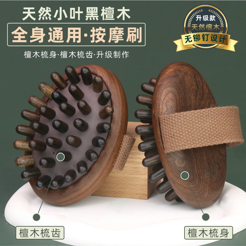 小叶黑檀木带脉经络刷