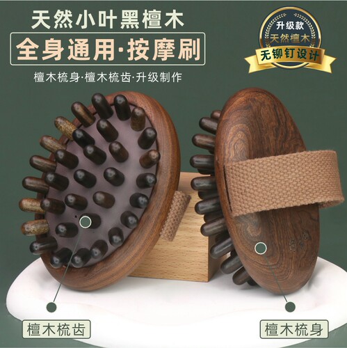 小叶黑檀木带脉经络刷