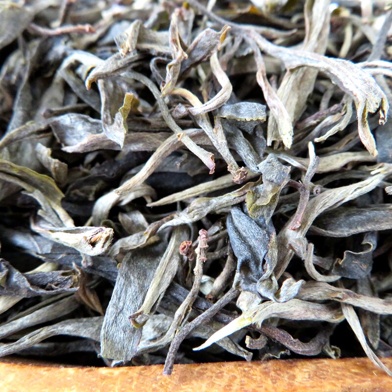 云南普洱古树生茶普洱生茶普洱散茶250克包邮