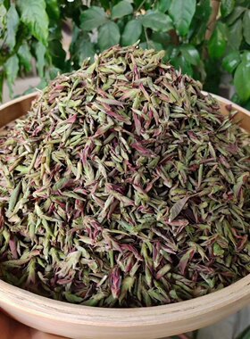 2026年云南千年纯野生紫芽孢普洱生茶小黑山雀嘴茶 花青素含量高