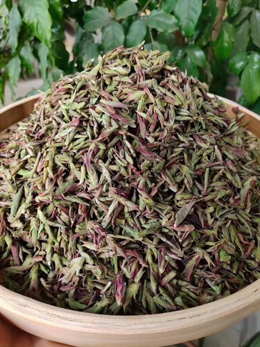 2026年云南千年纯野生紫芽孢普洱生茶小黑山雀嘴茶 花青素含量高