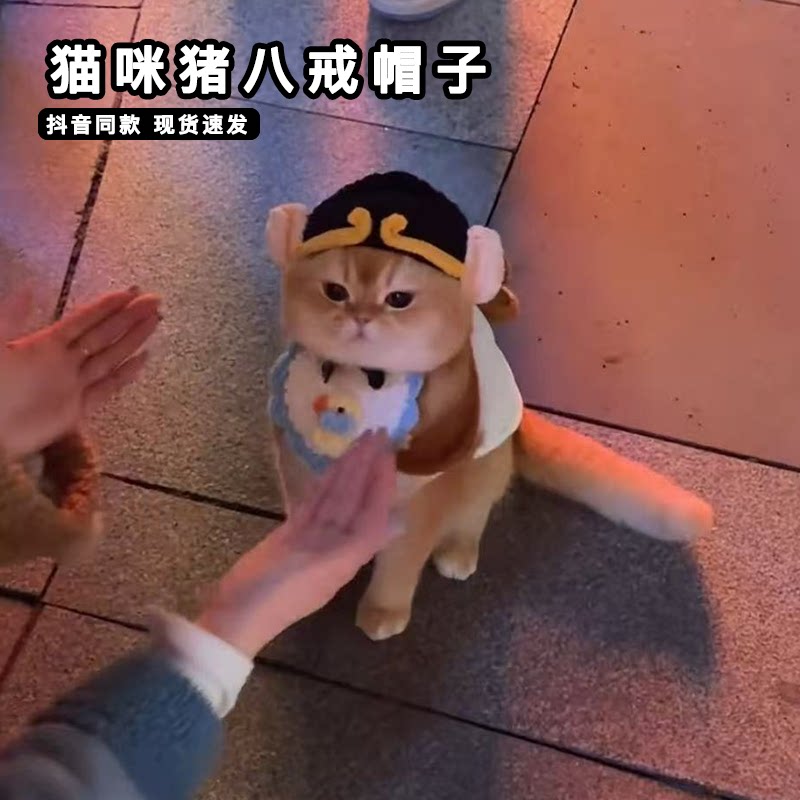 猫咪猪八戒帽子露耳朵搞笑宠物猪咪西游记周边唐僧小配饰毛线头套