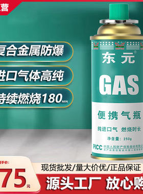 汽罐便携式防爆露营户外东元