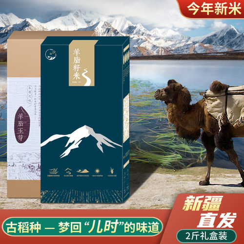 新疆大米羊脂籽米高端粳米1公斤