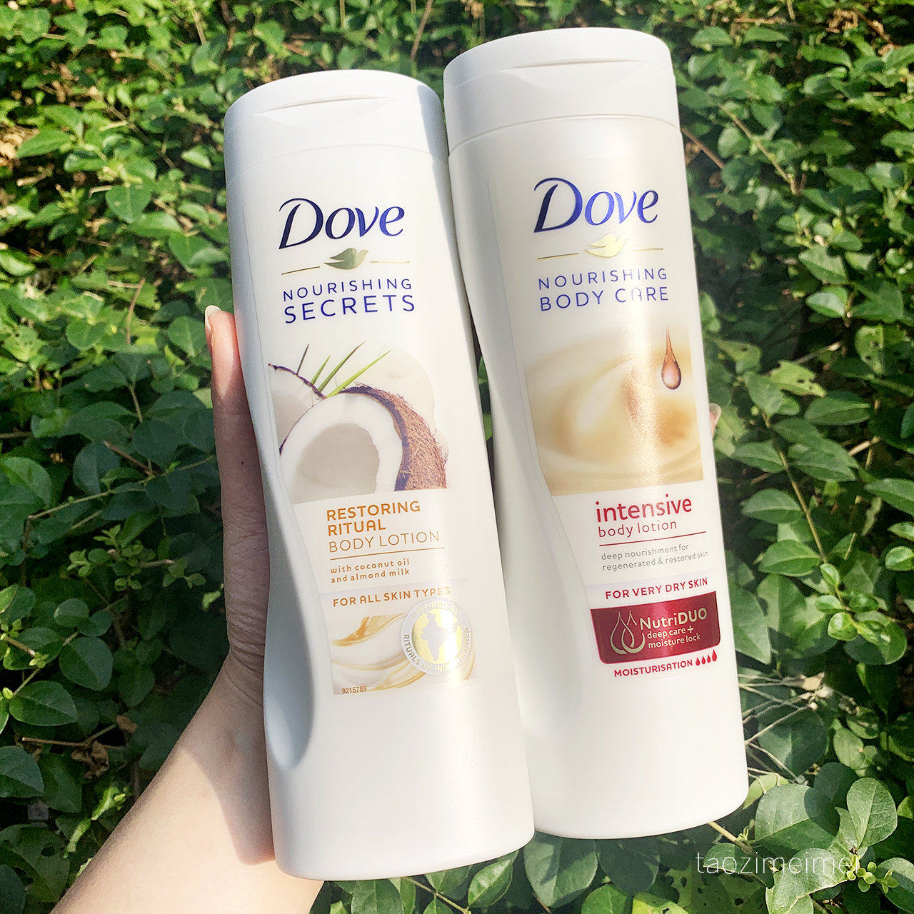 德国Dove多芬牛奶椰子油杏仁干性手霜身体乳湿滋润香体大米果酸