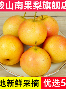 鞍山南果梨5斤包邮南国梨海城东北特产香水梨子新鲜冻梨孕妇水果