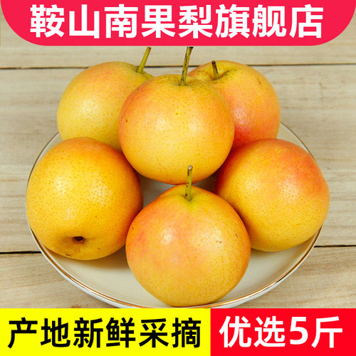 鞍山南果梨5斤包邮新鲜水果