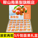 包邮 鞍山南果梨5斤 特产海城南国梨子新鲜水果 阳面果礼盒