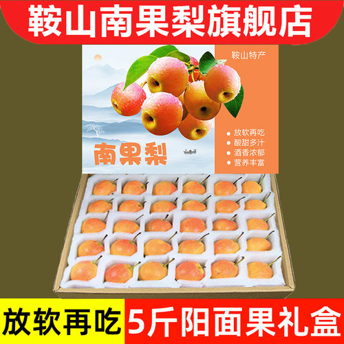 鞍山南果梨5斤阳面红果礼盒装
