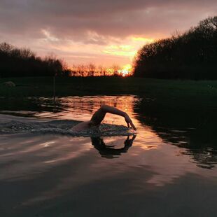 无物流04壁纸晨泳画六毛钱壁纸电脑壁纸六毛钱