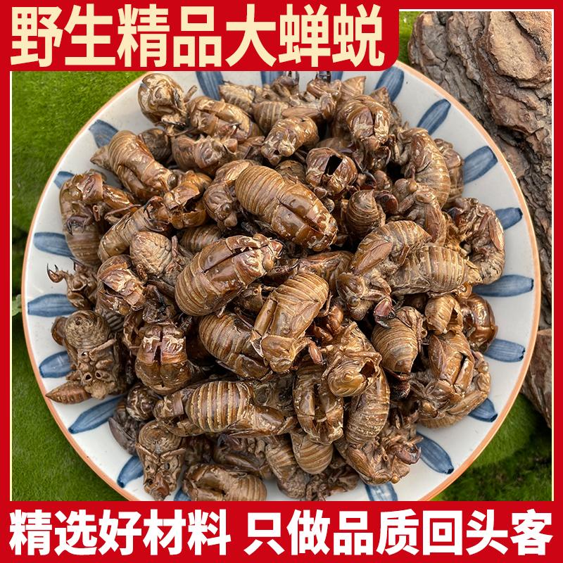 野生大蝉蜕100g蝉脱金蝉衣金蝉壳蝉皮 野生蝉衣知了皮知了壳粉