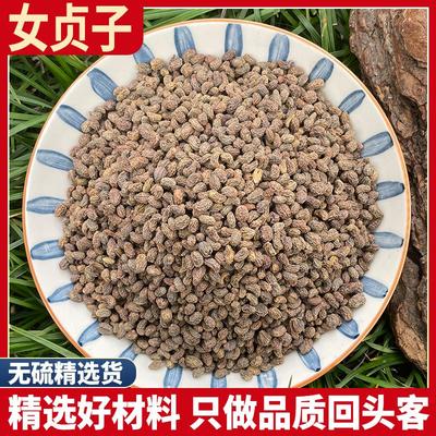 女贞子正品酒制泡茶女真子粉非野生菟丝子和旱莲草墨旱莲