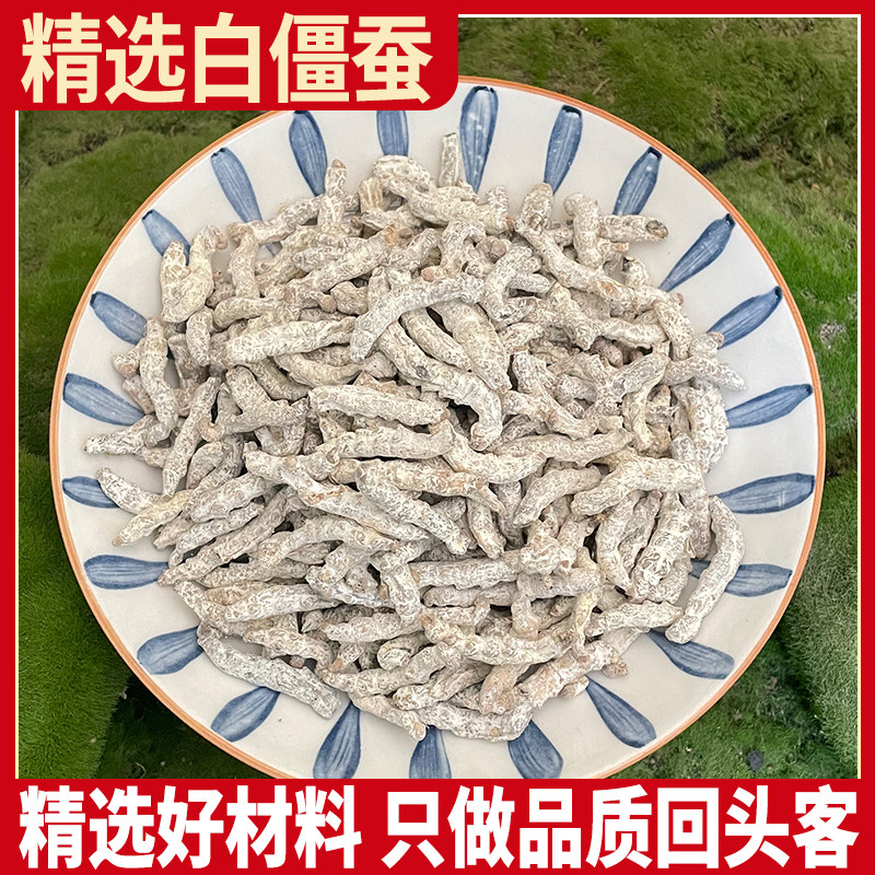 全检白僵蚕 四川正品僵蚕 白僵蚕虫新货僵蚕新鲜干货秋季白僵蚕粉