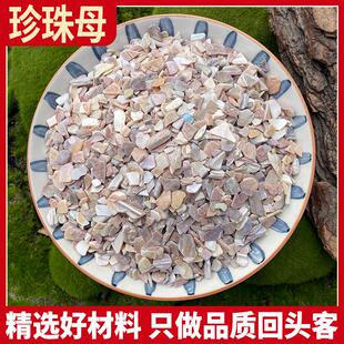 去皮 珍珠母正品珍珠母 珍珠母粉 真珠母 明珠母 蚌壳