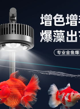 老渔匠鱼缸灯金鱼增艳灯全光谱LED观赏原生溪流缸筒灯鱼缸爆藻灯