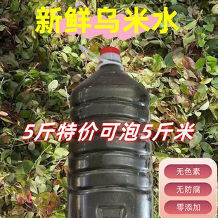 新鲜乌米汁纯天然植物南烛叶宜兴乌米饭乌米树叶乌饭草乌米粽子水