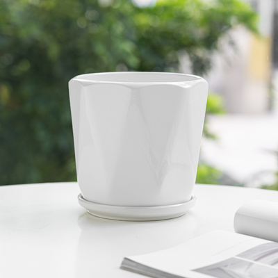 大号简约绿萝吊兰绿植花盆