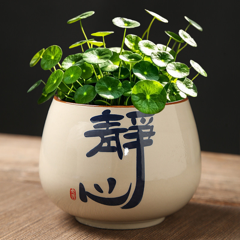 铜钱草专用花盆大号无孔碗莲荷花金钱草水培器皿水仙绿萝花盆陶瓷