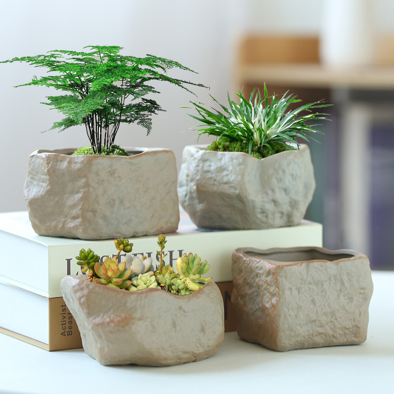 多肉花盆创意桌面办公室文竹绿植菖蒲盆景粗陶肉肉盆陶瓷特价清仓