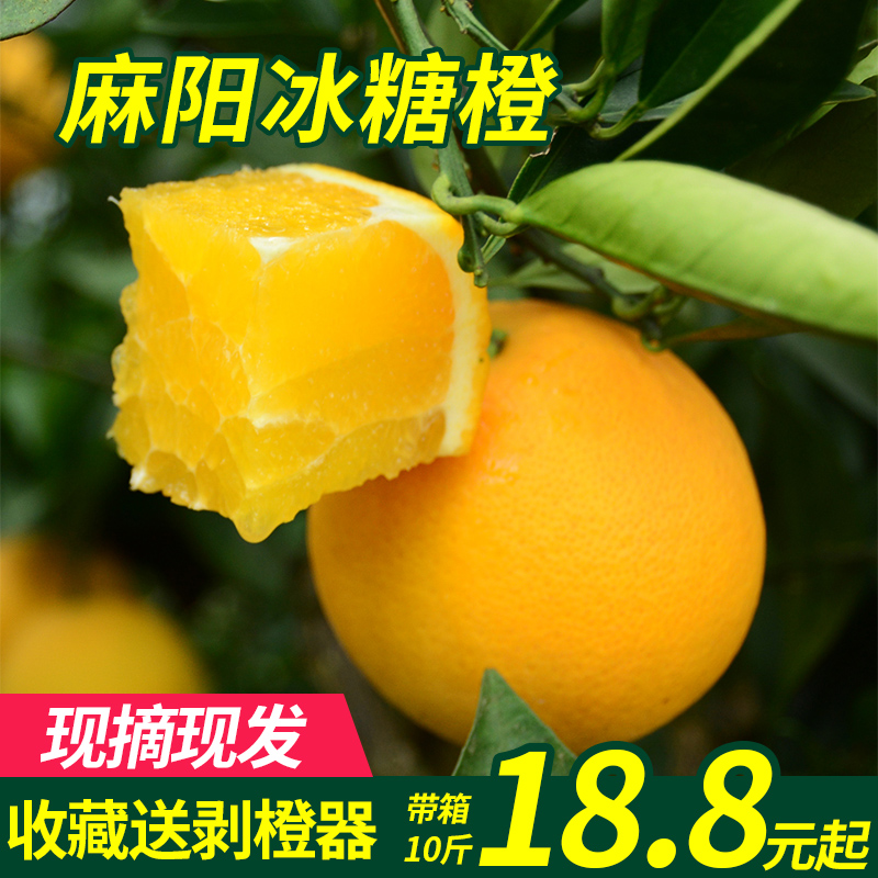 网友分享在meiguo.com上的图片