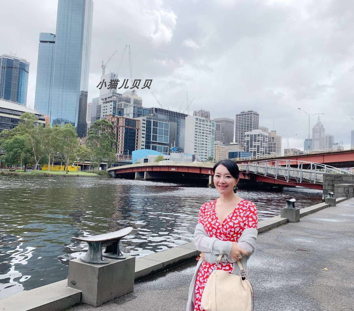 小猫儿美国代购 DVF新款印花树叶真丝棉裹身连衣裙 398美金