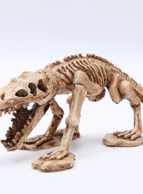 鱼缸水族箱造景装饰摆件造景恐龙骨架树脂头骨爬虫躲避水族馆饰品