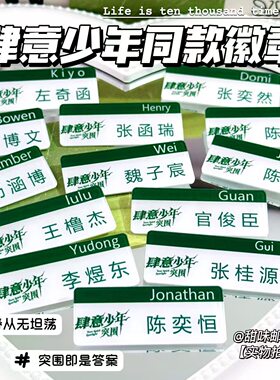 肆意少年同款胸牌徽章TF家族四代周边陈奕恒铭张桂源应援校徽胸针