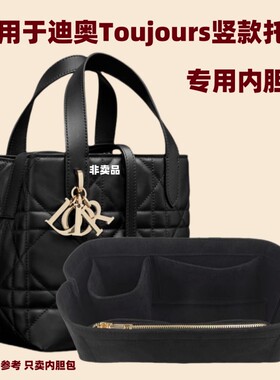 迪奥Diortoujours内胆收纳