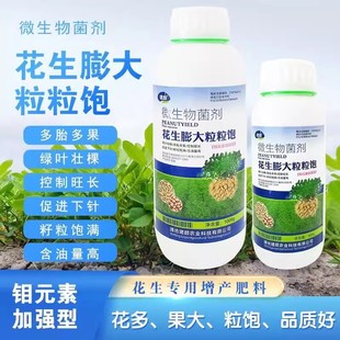 花生膨大粒粒饱满专用叶面肥产量提高颗粒大控旺徒长壮棵分叉下针