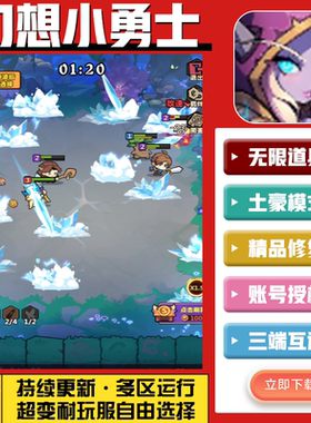 幻想小勇士手游无限GM后台道具内部号折扣礼包免费版安卓苹果鸿蒙