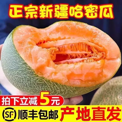 正宗哈密瓜脆甜9斤当季新鲜水果甜一整箱包邮现摘网纹瓜西州蜜